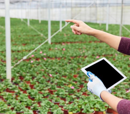 首页|3499拉斯维加斯集团官方网站